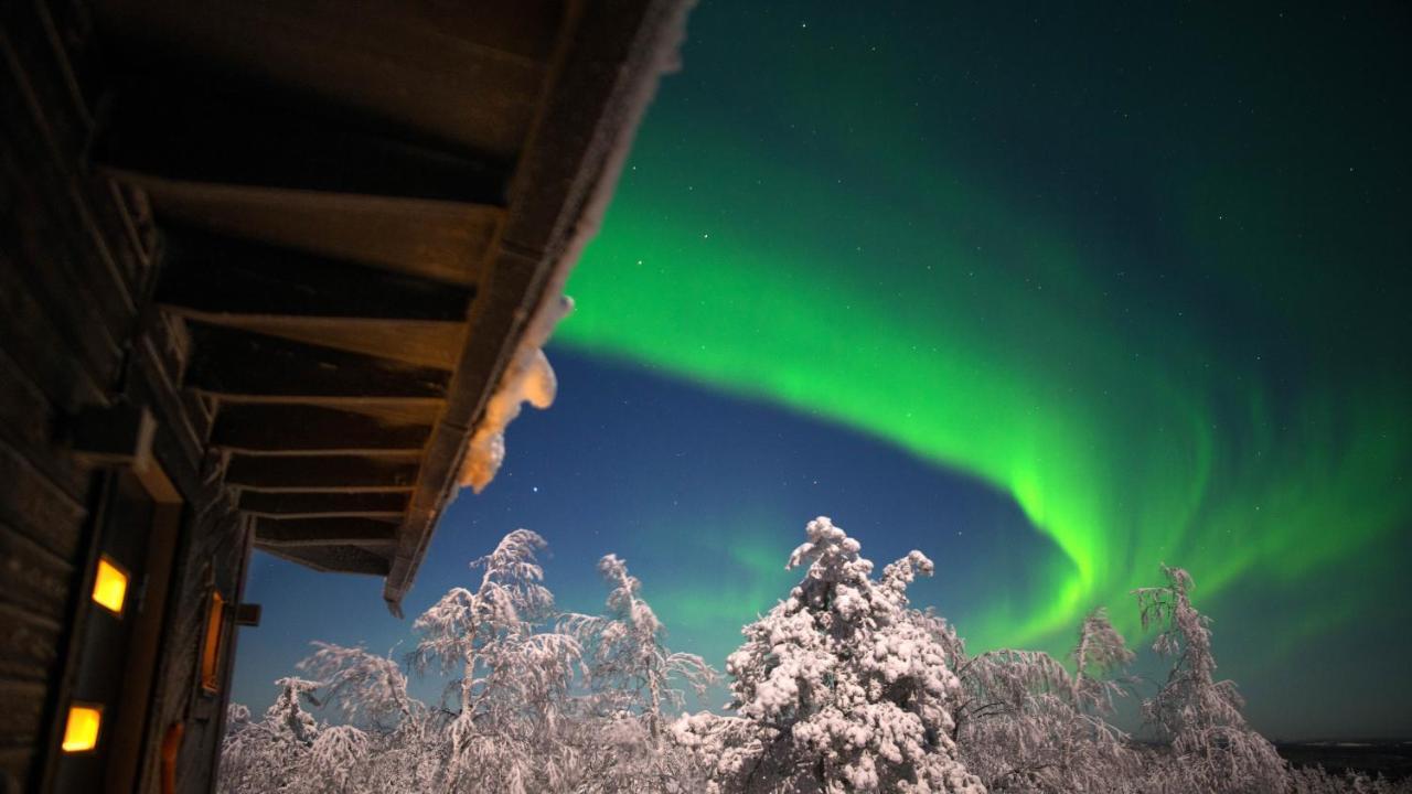 Arctic Giant Aparthotel